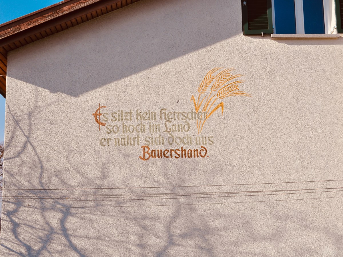 Lifelong professions