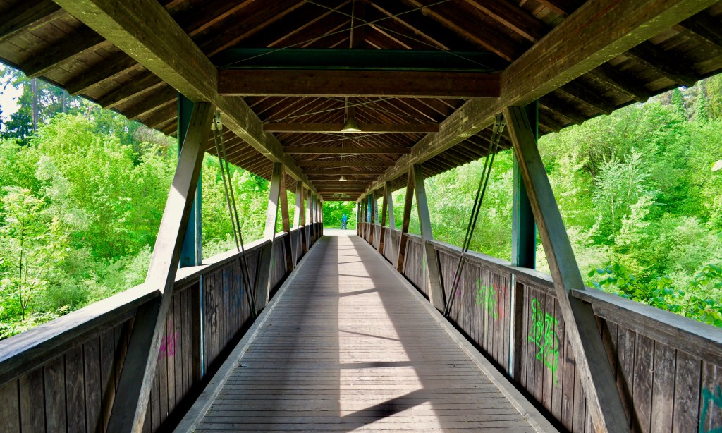 A photograph of the covered wooden bridge mentioned in the alt text of the previous photograph, as well as in the immediately preceeding paragraph, taken while standing on the bridge. All lines lead nicely to the vanishing point in the center of the photograph, and the previously mentioned verdant plant growth can also be seen through the sides of the bridge.